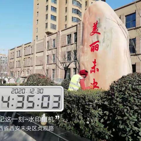 把好2020的最后一关—未央绿化养护工作全天候常态化开展