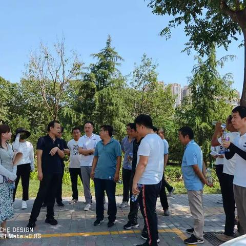 以互学互比为媒 增绿化养护精细化养管水平