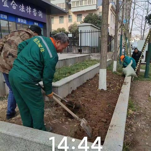 抢抓春季好时光  补植补栽工作忙