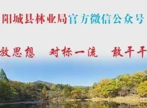 加强学习培训，提升队伍技能——县林业局举办森林调查知识讲座第三讲