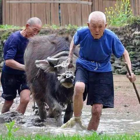 聊聊农村农业生产的问题