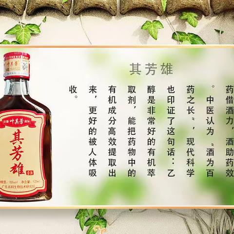 其芳雄酒为何备受消费者和代理商喜爱？业内专家给出了答案