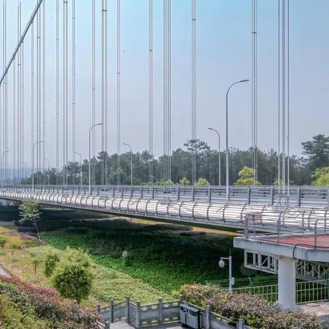 “大救驾”，救驾有功也