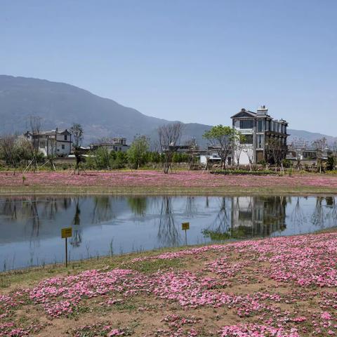 在洱海湖畔，我们翩翩起舞