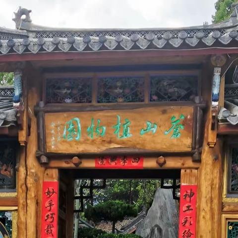 苍山植物园——神秘的多肉植物王国