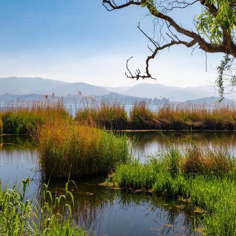 我在洱海湖畔飞身跃起