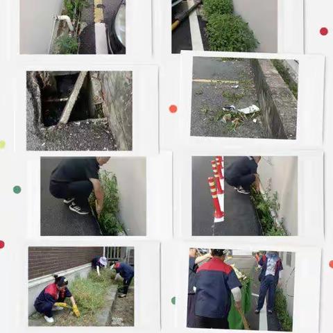 濂溪区地税局大家集体拔草和清理深沟里的垃圾。