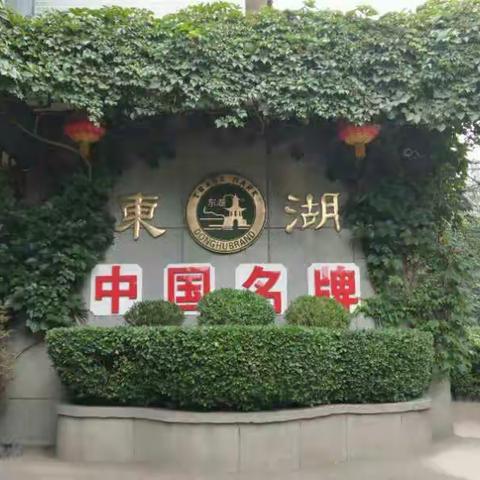 太阳宝贝东湖醋园游学记