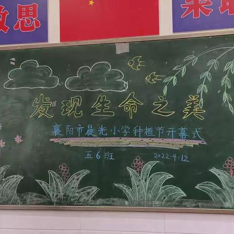 劳动美，种植乐