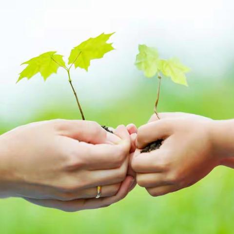 东方红学校五二班生命的意义主题班会（疫情之下，停课不停学）