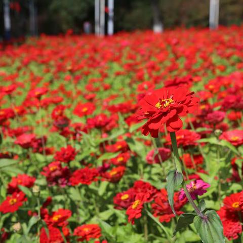 《我们快乐嗨起来！》让夕阳们时光更灿烂