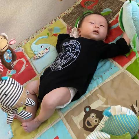 👼欢迎你，小兔子哥哥（二）