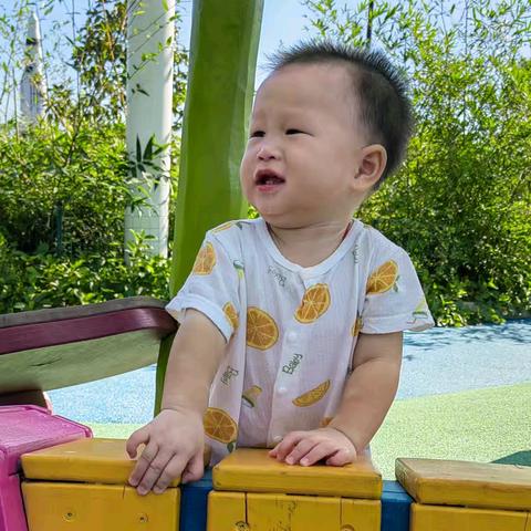 小兔子哥哥 欢迎你！（十一）