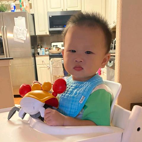 欢迎你，小兔子哥哥（十二）