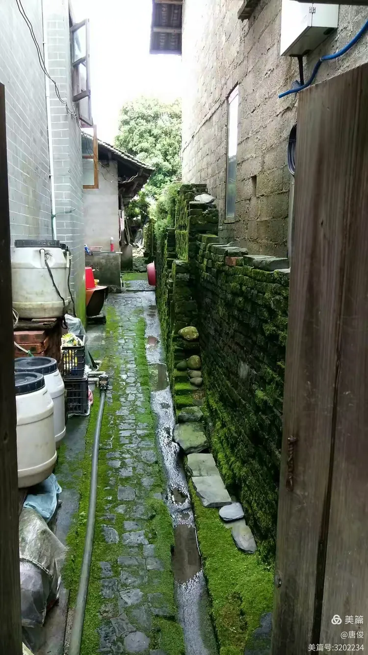 丹洲门票团购网站_丹洲门票团购网站大全