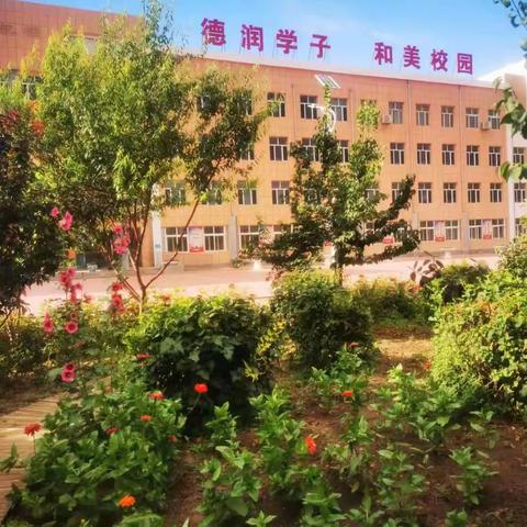 “读书沐初心，书香致未来”七年二班擎云组本周阅读分享