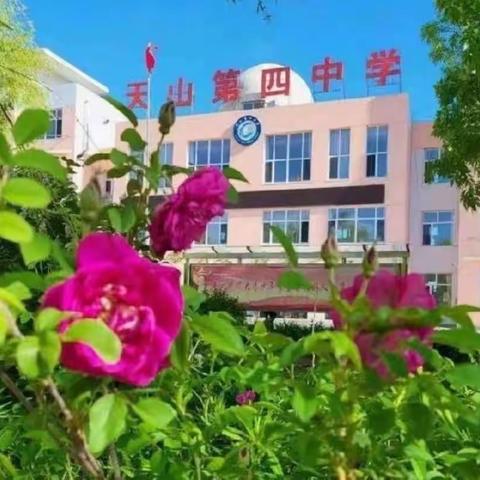 践行使命担当 续写青春华章——天山第四中学2023年暑期社会实践活动纪实