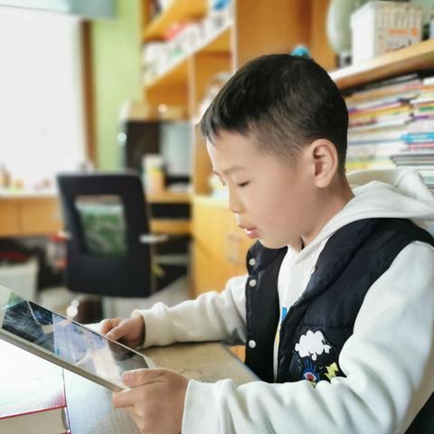 不同的课堂，别样的收获——停课不停学，我们这样做