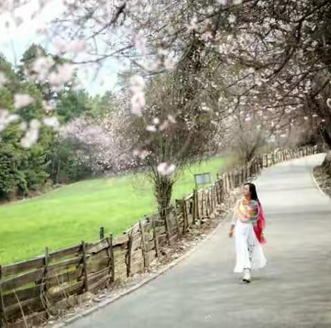 淡墨锁春，雪域花开——三月林芝桃花记