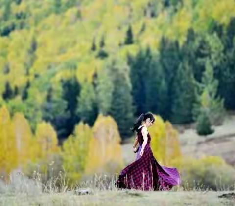 回望，微笑中摇曳的金秋——北疆徒步记