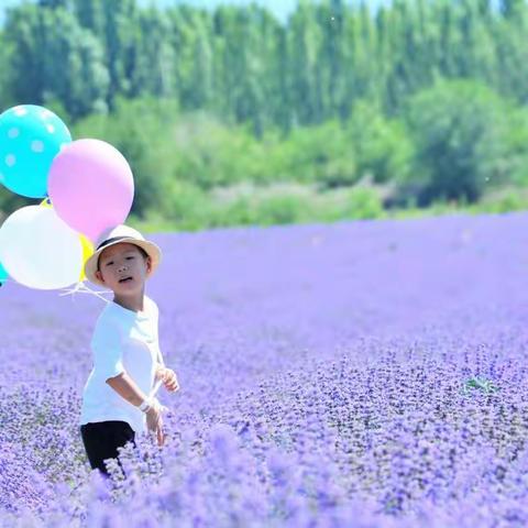 姗姗而至，不期而遇——2018新疆漫游记（一）