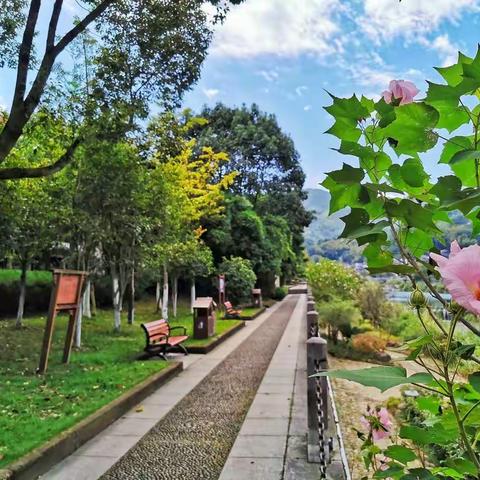 鹤溪河•我们的乐园