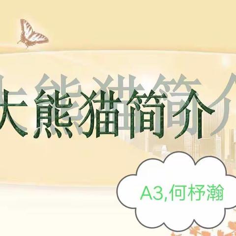 大熊猫简介——A3,何杼瀚