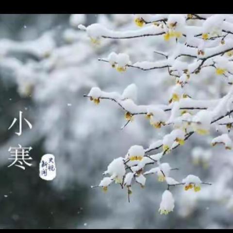冬意融融话小寒——偃师市第二实验小学二十四节气小寒活动纪实