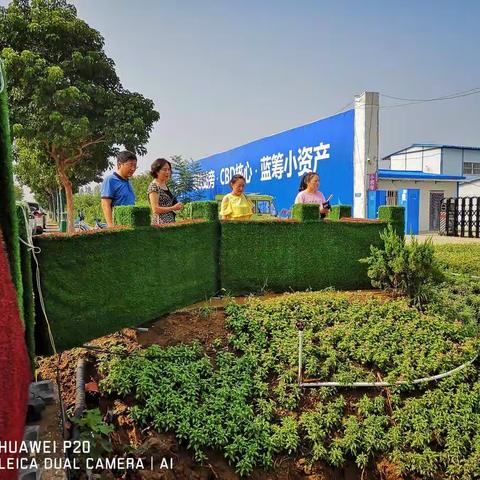 市爱卫办宋主任和汪科长带队到西城区检查病媒生物防治工作，西城区李主任和pco公司负责人全程陪同。