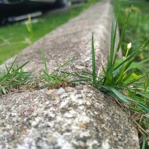 暴风雨后的清晨