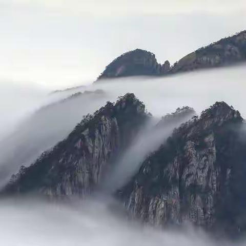 雨后空气的美篇