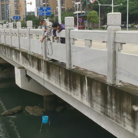 市生态环境局开展电力沟调查监测工作