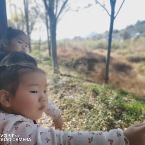 幸福里小1班小组合作社第一次活动——鲁家之旅