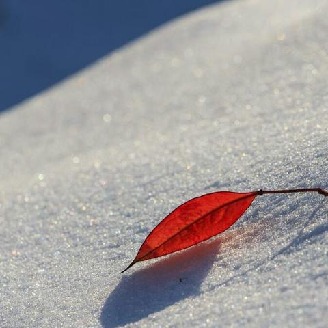 雪后初晴