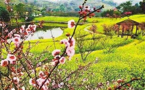 春天是一个富有生命力的季节，也是一个美丽、神奇，充满希望的季节。