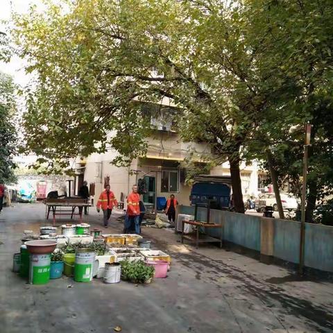 清杂物，美社区（杨泗社区篇）