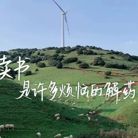 荣成市石岛实验中学初二年级每周喜报