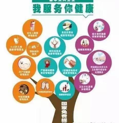 国家基本公共卫生服务项目详解