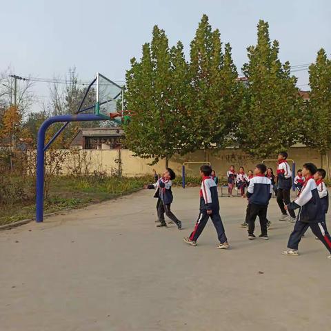 彭楼镇南高小学--篮球🏀比赛