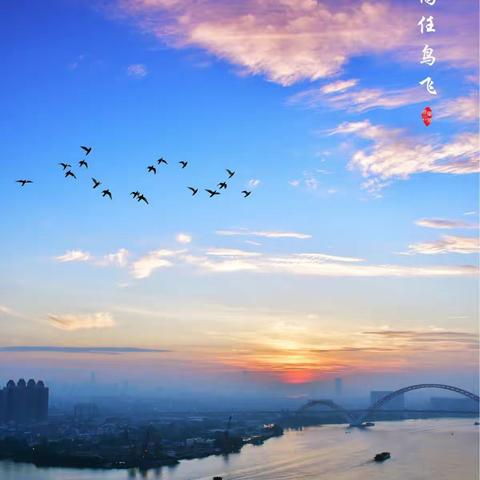 蓝湾如画