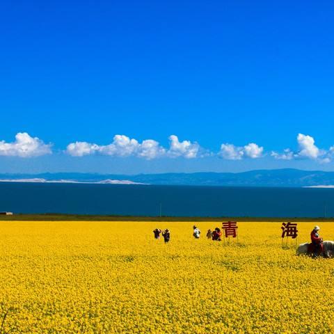 游青海名山名寺，感受青海民风民俗