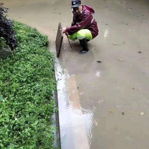 应对强降雨天气，我们在行动！