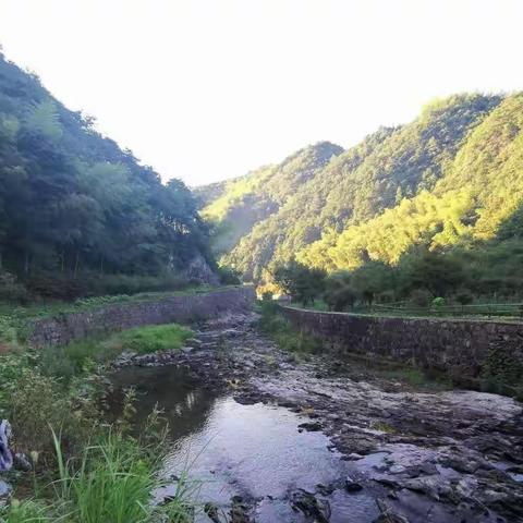 四明山休闲避暑三日游