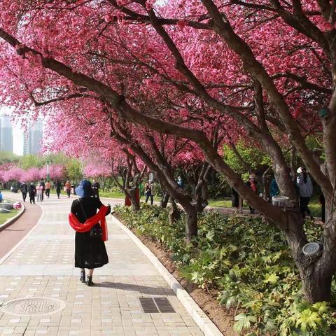 春暖花开畅游易园