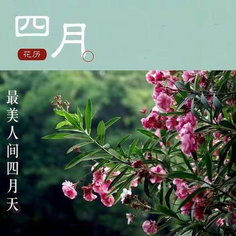 “线上花开”——鄠邑区幼儿园居家亲子活动大班组（第四十期）