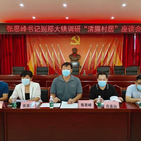 张思峰书记到那大镇军屯村调研“清廉村居”建设工作