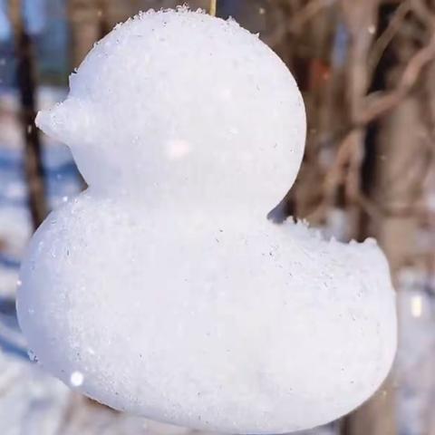2021年的第一场雪和冬至撞在了一起大家都吃饺子了吗？七十四班，王姿人