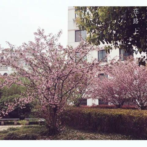 叶幼中三班❤宝贝们，节日快乐🎈🎈🎈