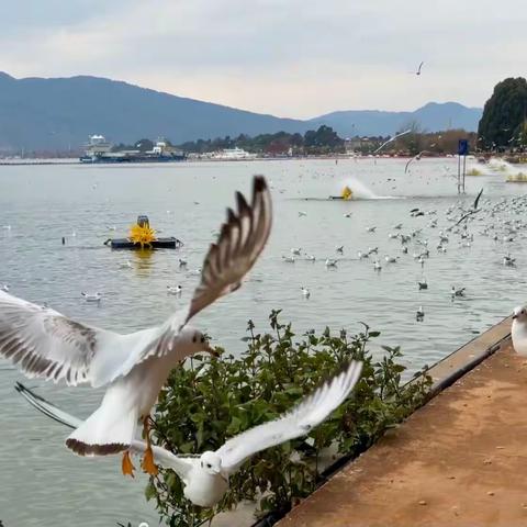 2024年春节在昆明