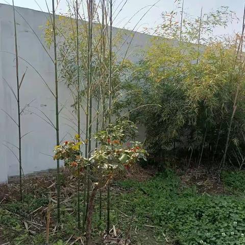 随笔小品